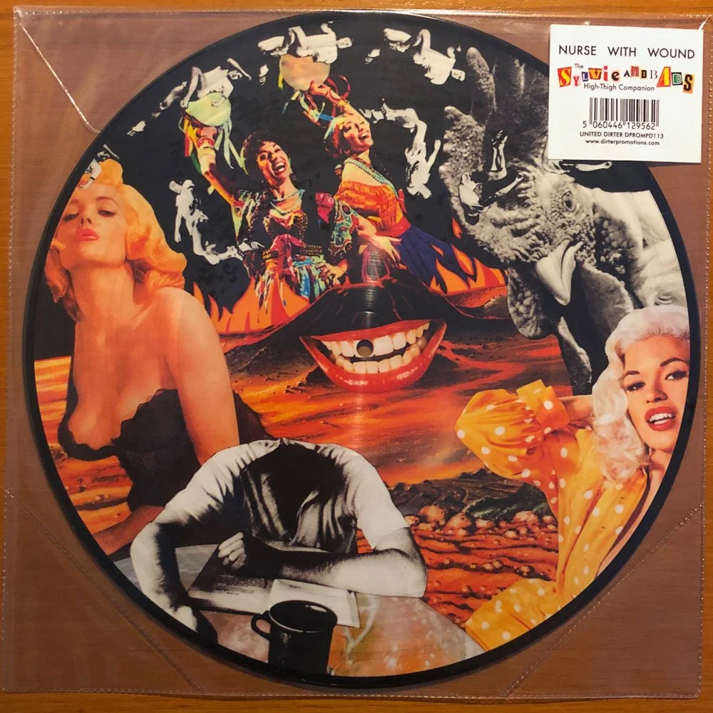 洋楽 Nurse With Wound - The Sylvie And Babs Nurse With Wound - The Sylvie And Babs Hi-Fi Companion [Full Album