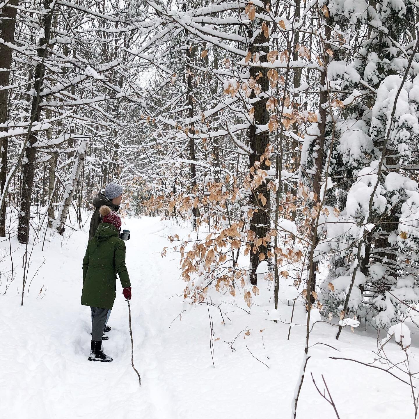 Getting out of the city and absorbing the recent snowfall because it&rsquo;s seriously been lacking ❄️ 

#osccross #oscx #gta #canadianwinter #winterready #madeincanada #canadianbrand #winterstyle #north #cold #adventures #winteractivities #ontariowi