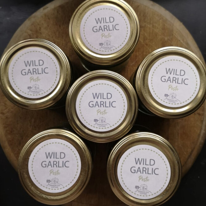 wild-garlic-pesto-2.jpg