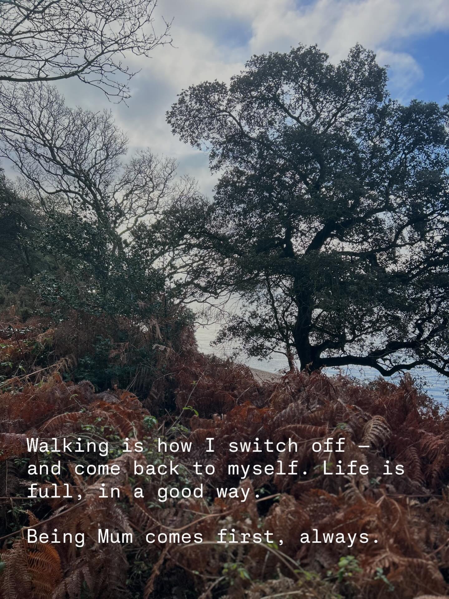 Walking matters more than we realise.

Life here is busy and constant &mdash; family, home, teaching, hikes, art events, retreat bookings, sauna, caf&eacute;, admin, website, messages.

There&rsquo;s always something that needs doing or replying to. 