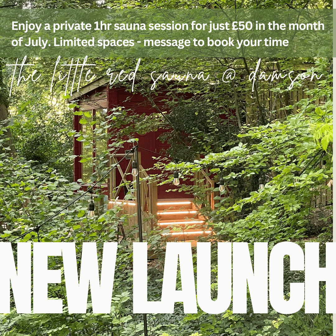 NEW LAUNCH (2).png