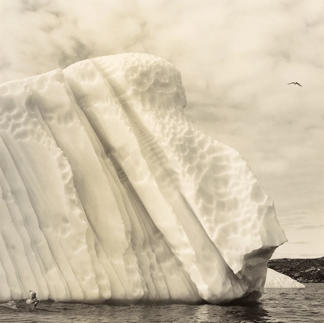 Untitled (Greenland #14) 2012
