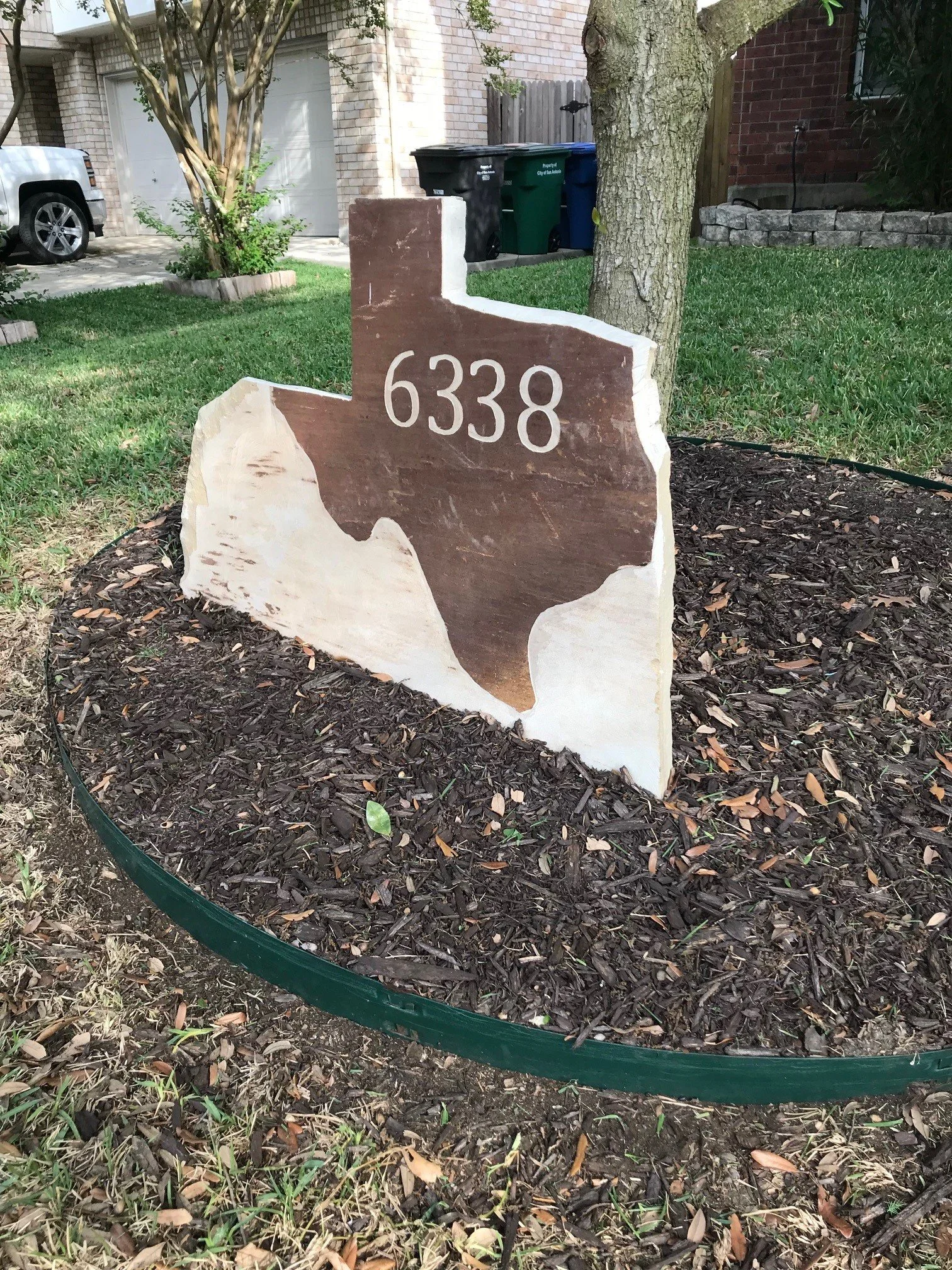 6338 1.jpg