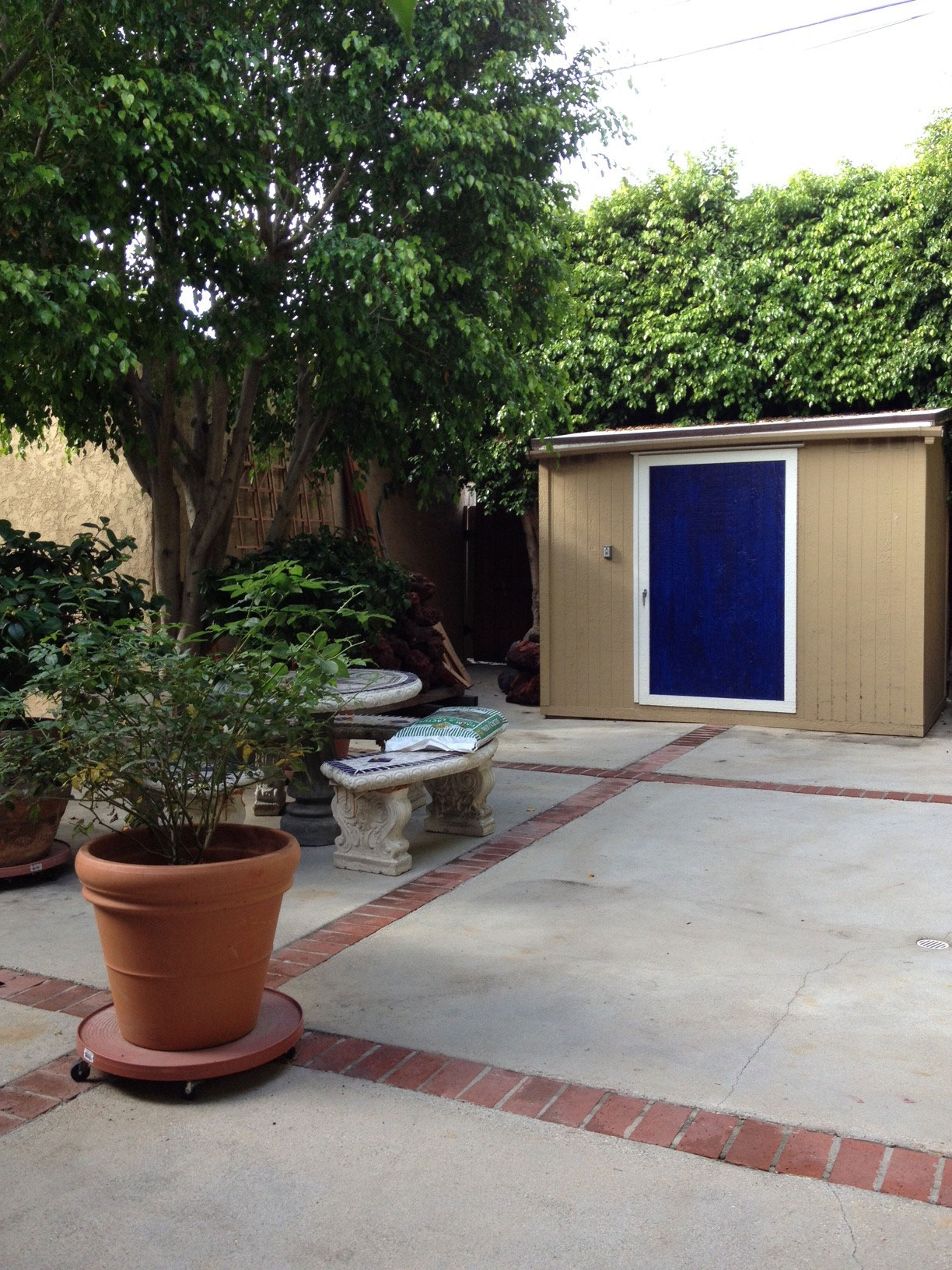 yard.jpg