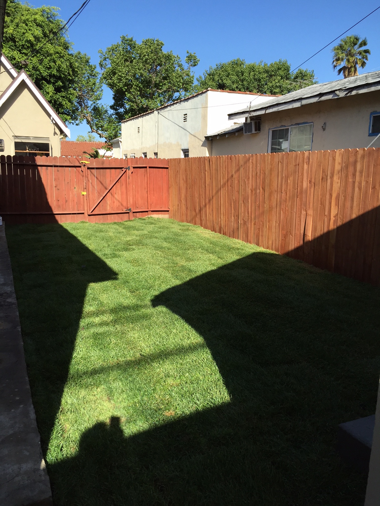 Side yard.jpg