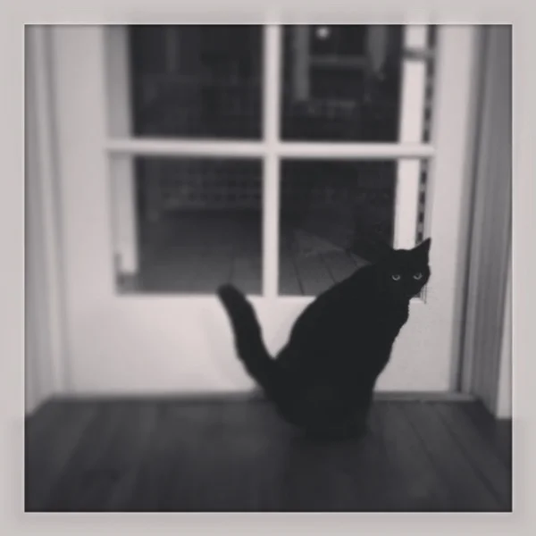 Transient
