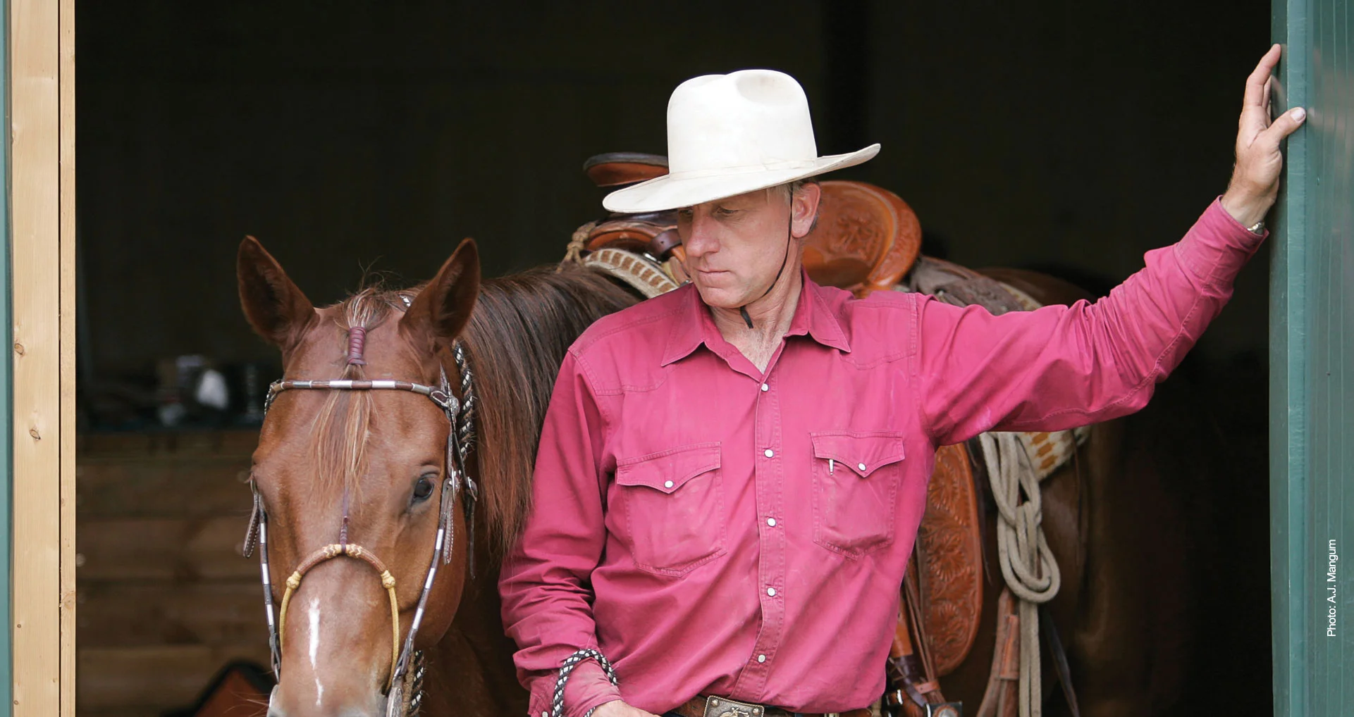 Buck Brannaman Clinic - Spanaway