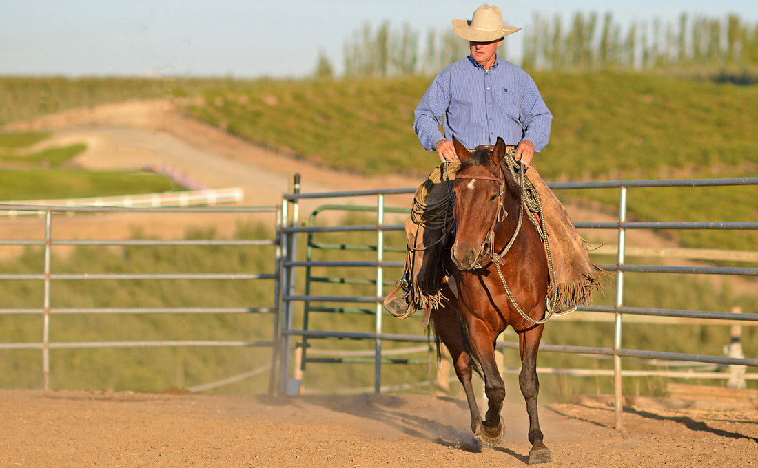 Joe Wolter Horsemanship Clinic