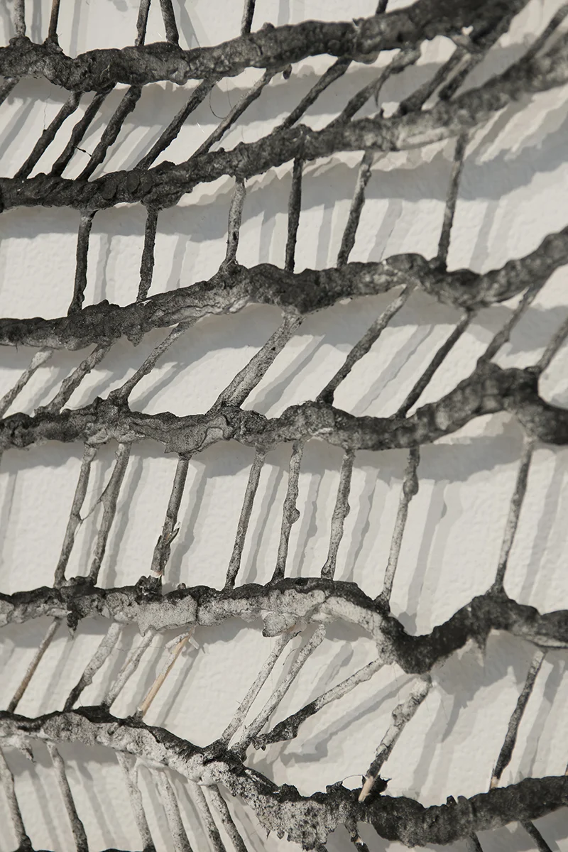 A Year with Utter and Woo , detail