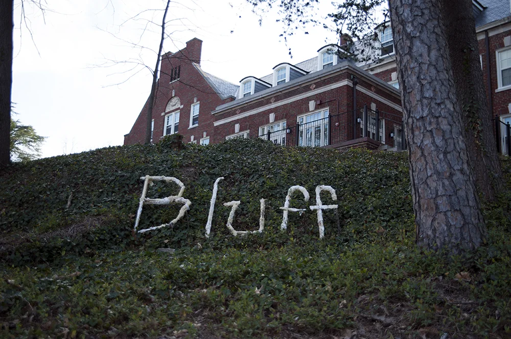 Bluff, 2013, wood, wood putty, cloth, and wire, dimensions variable