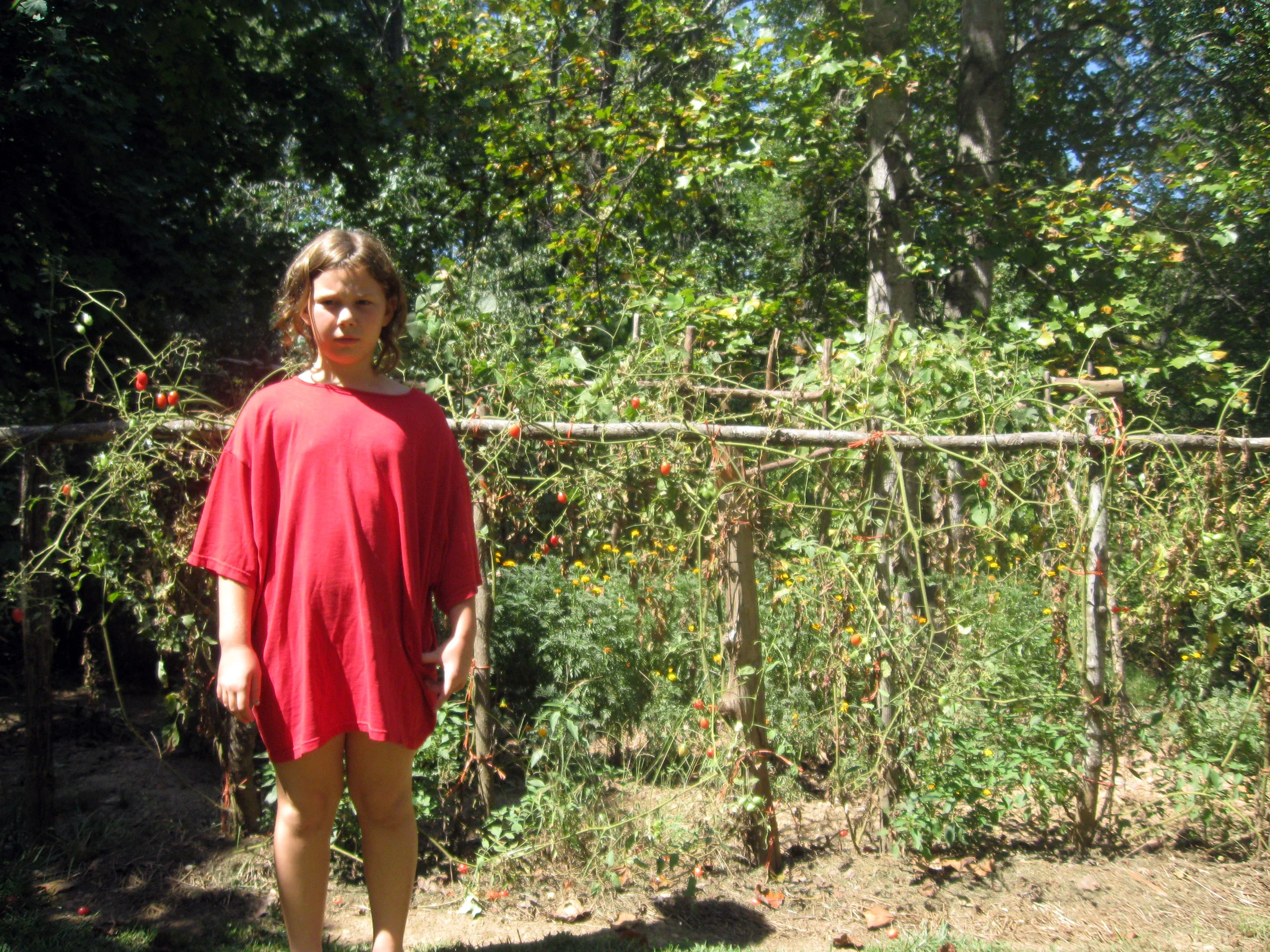 Vines Late Summer