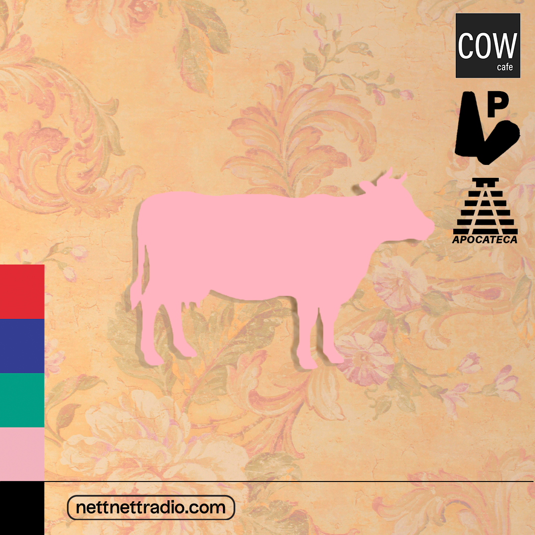 COW Cafe Launches Summer Hours With Live Ambient Music Sunday June 23rd