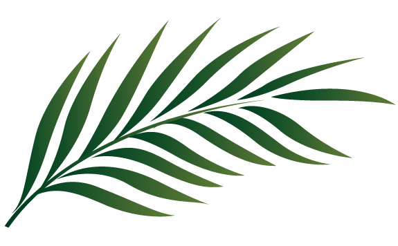 Palm Sunday Worship 
