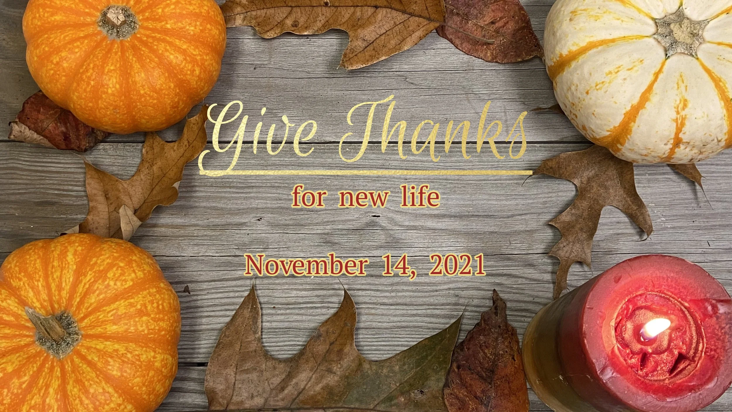 Give Thanks for New Life