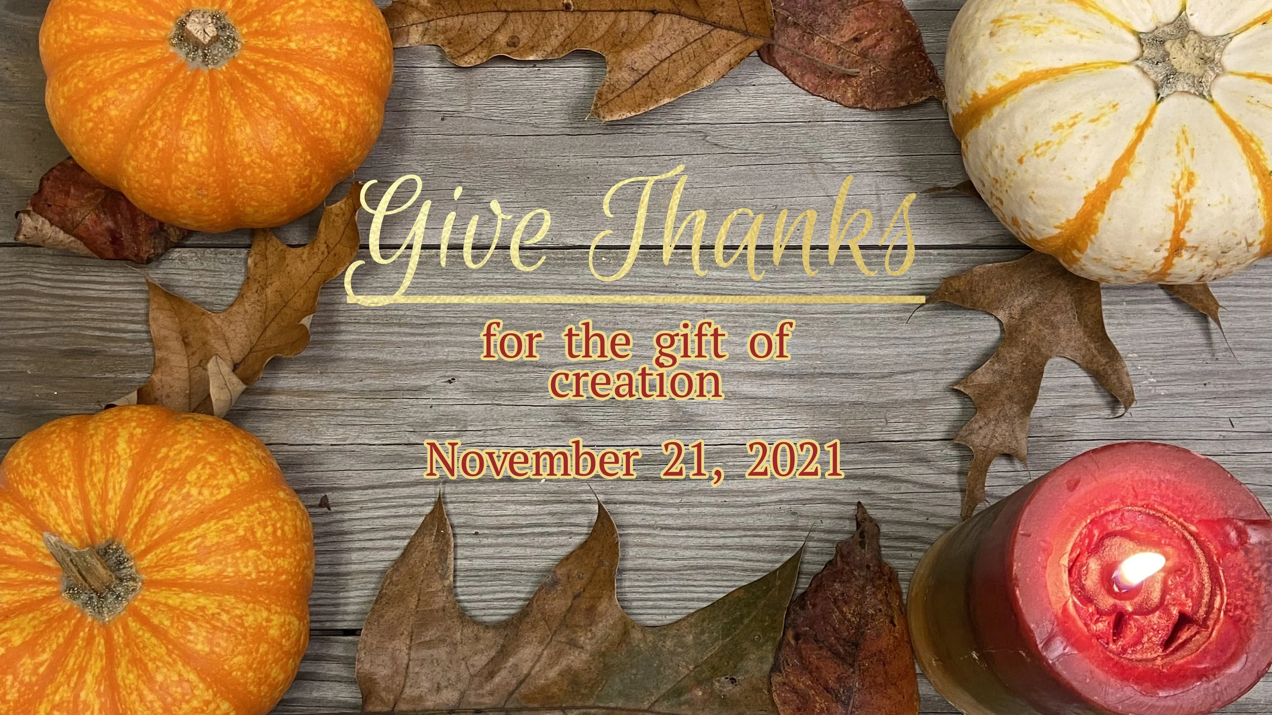 Give Thanks for the Gift of Creation