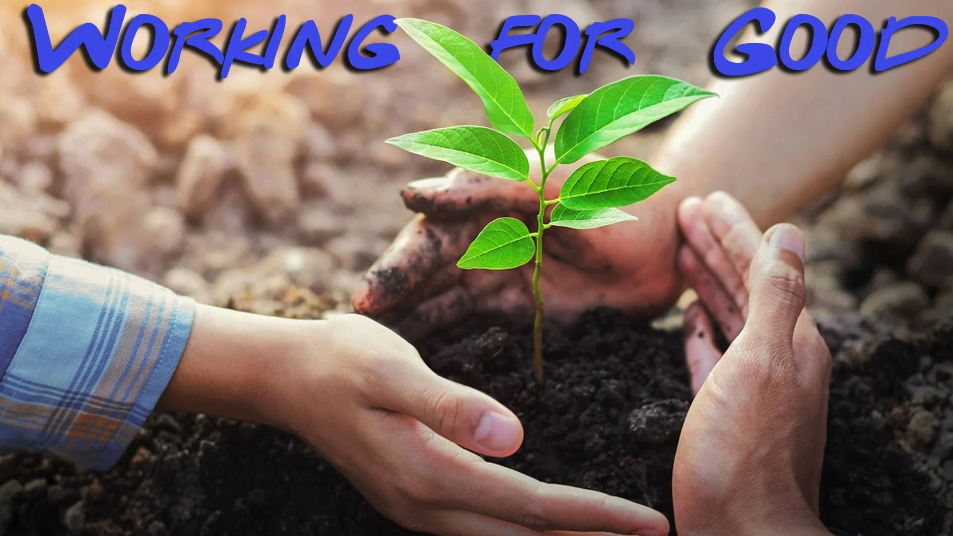 "The Challenge of the Blessings and Woes"