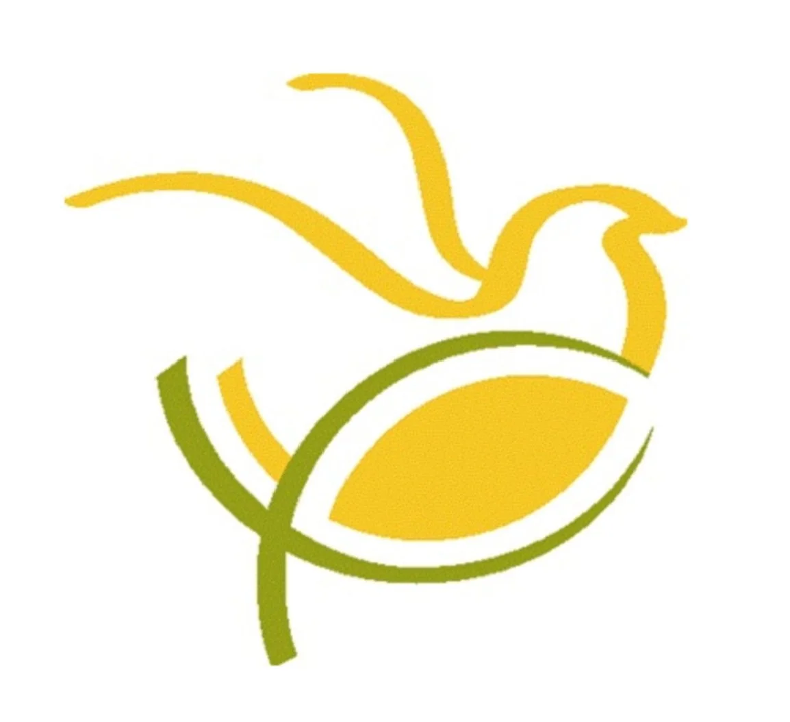 The Next Faithful Step