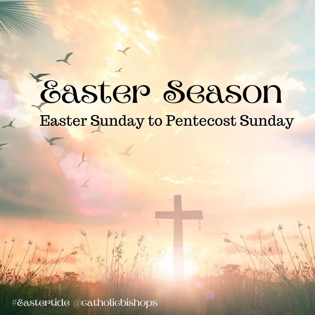 Choosing to Share Life