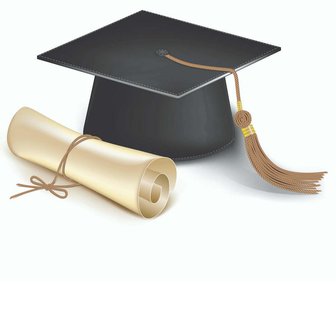 "The Wisdom of Kudzu"