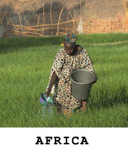 AFRICA.jpg