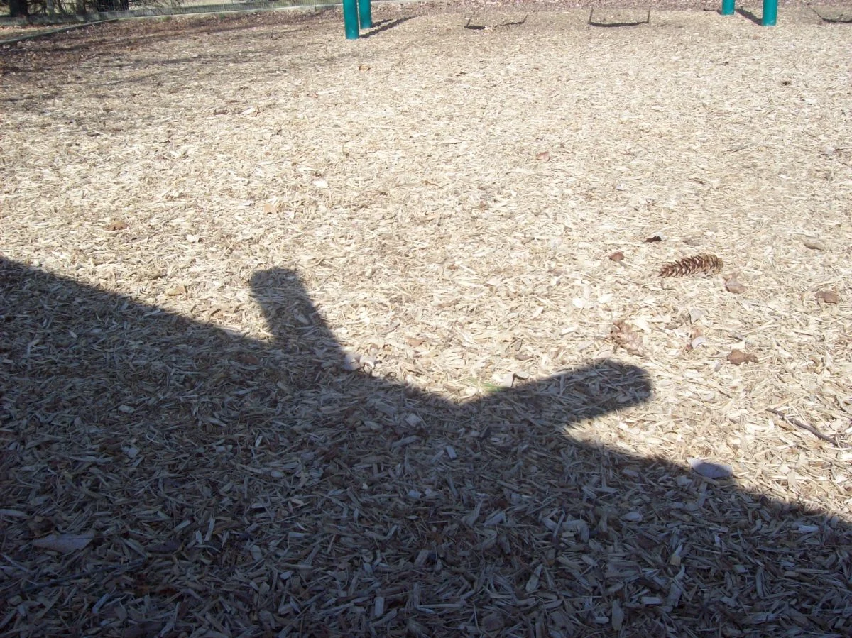 100_0531.jpg