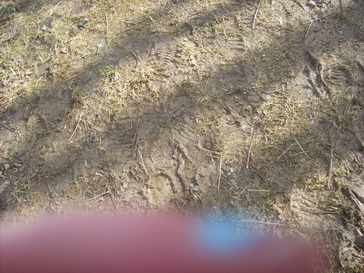 100_0526.jpg