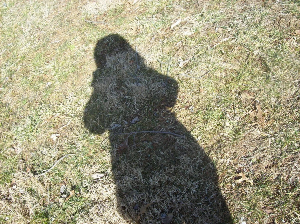 100_0528.jpg