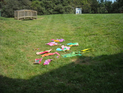 Sea Creatures Drying in the Sun