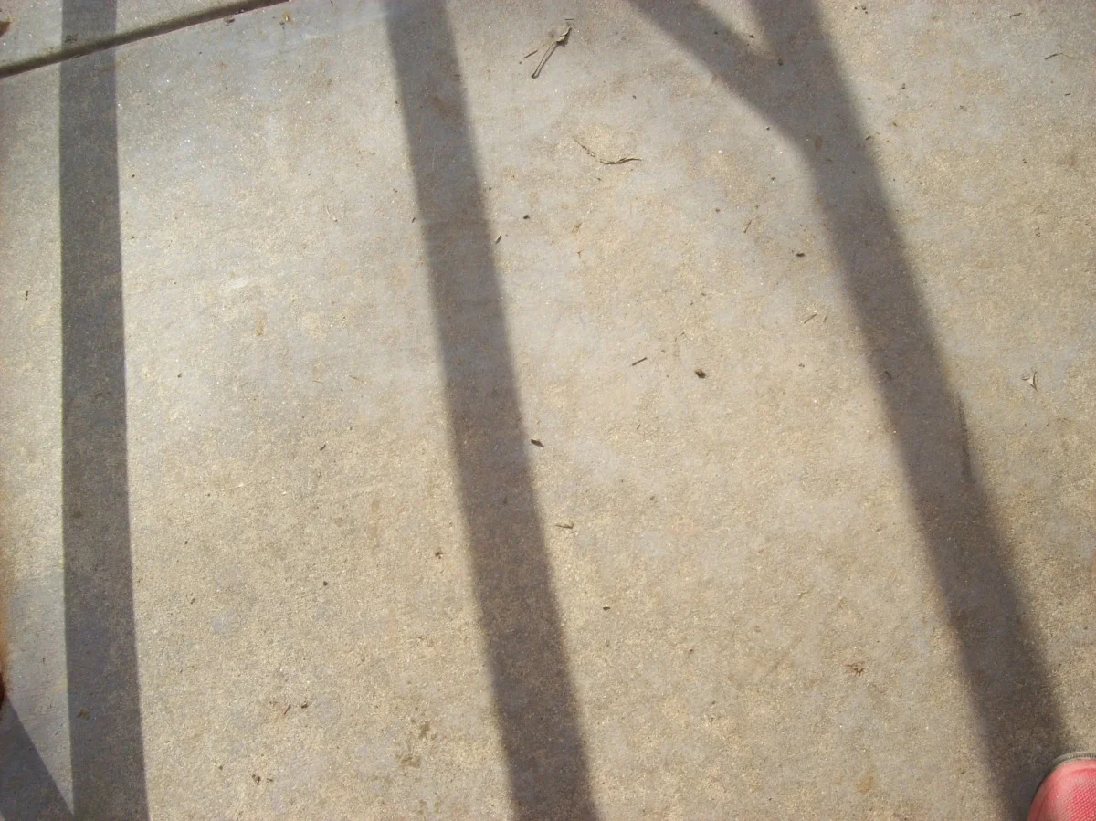100_0524.jpg