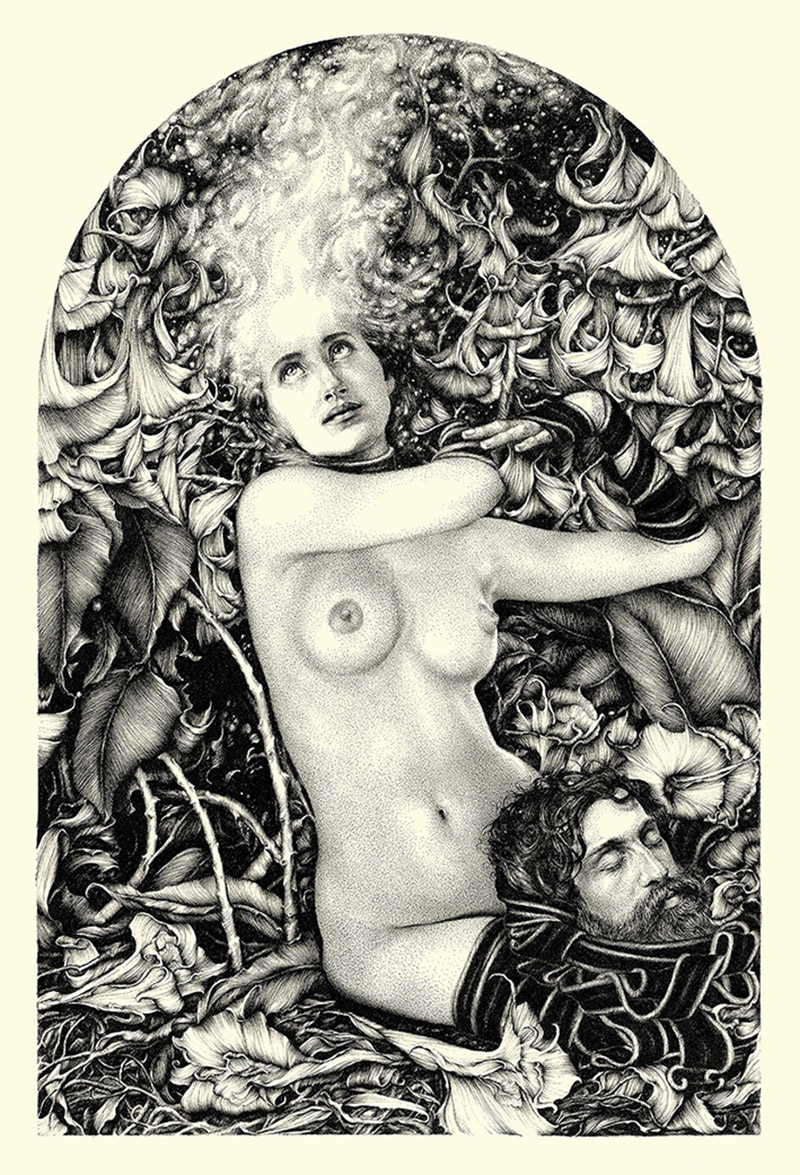 Salom é 2013 - Ink on cotton paper by Lucy Hardie