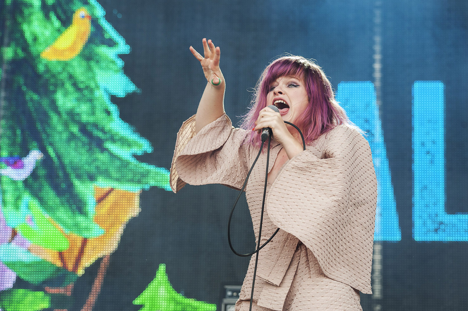Melbourne's own Phoebe Baker (Alpine) hits all the right notes on day three of the 2015 Falls Festival at Mt Duneed Estate - image courtesy of Kirsty Umback.