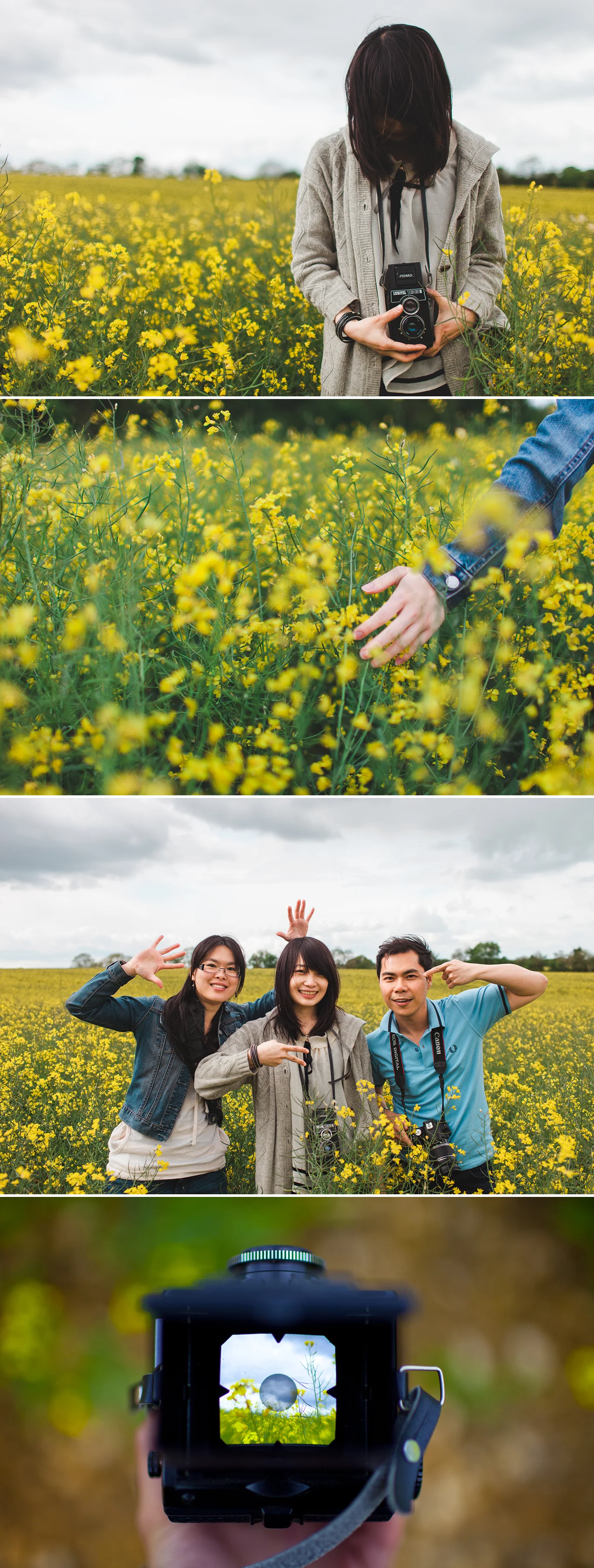 Cotswold - FlowerField.jpg