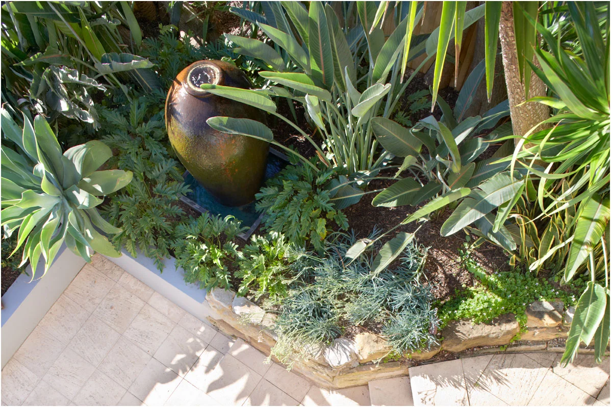 Dover Heights Garden Landscaping