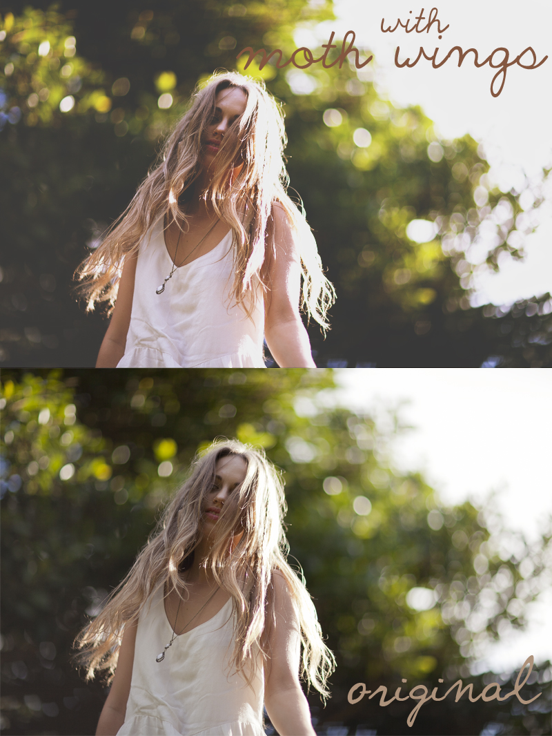  Click here to download: http://jtrotti.blogspot.com.au/2013/07/free-curve-friday-moth-wings.html 