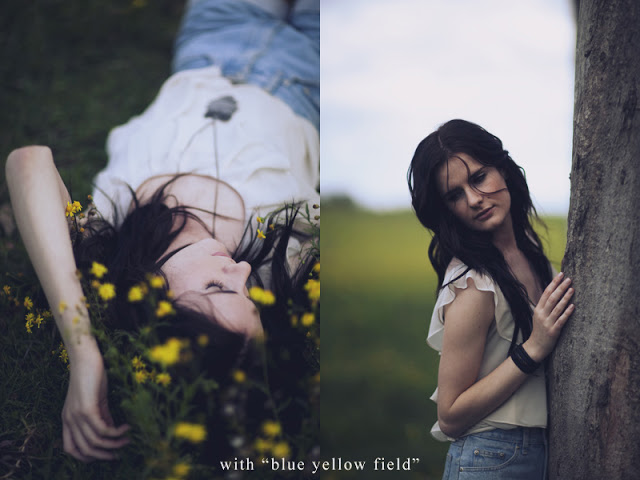 blue yellow field.jpg