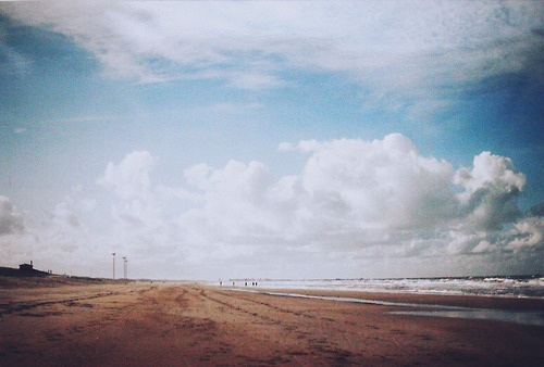 tess janssen with blue yellow field.jpg