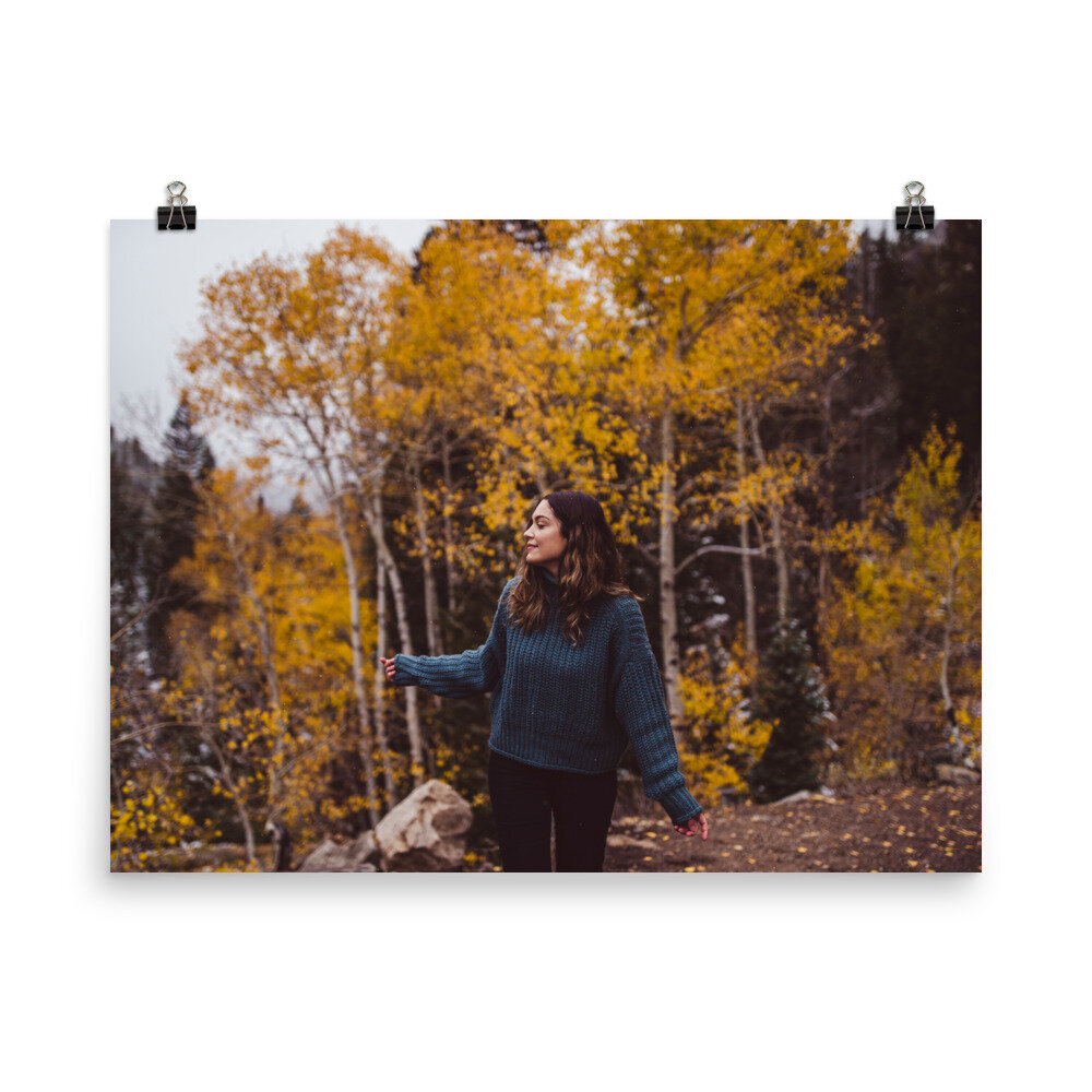 enhanced-matte-paper-poster-(in)-18x24-5febd536df2c5.jpg
