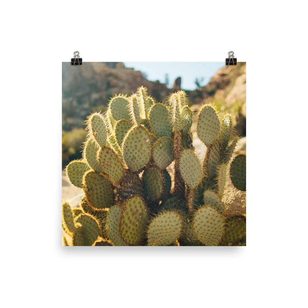 enhanced-matte-paper-poster-(in)-14x14-5fec158c42fba.jpg