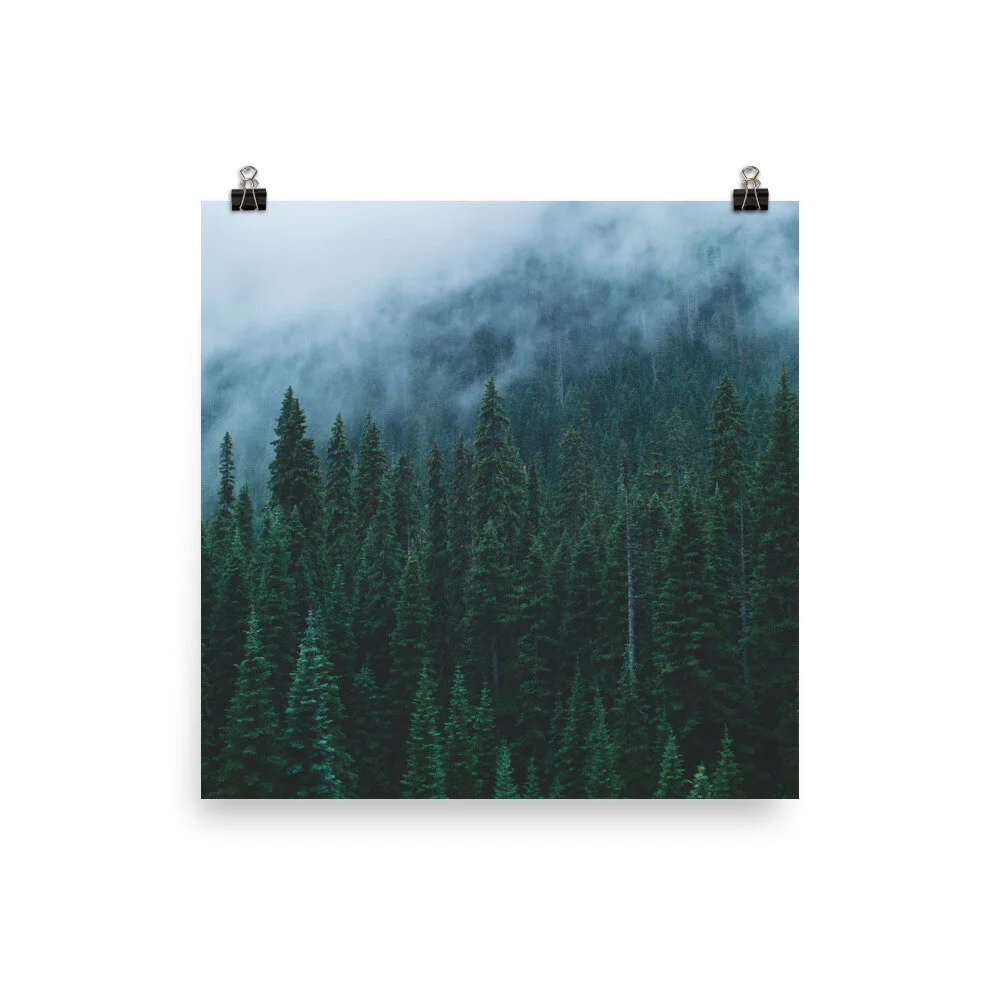 enhanced-matte-paper-poster-(in)-12x12-5fec1785a1fb7.jpg
