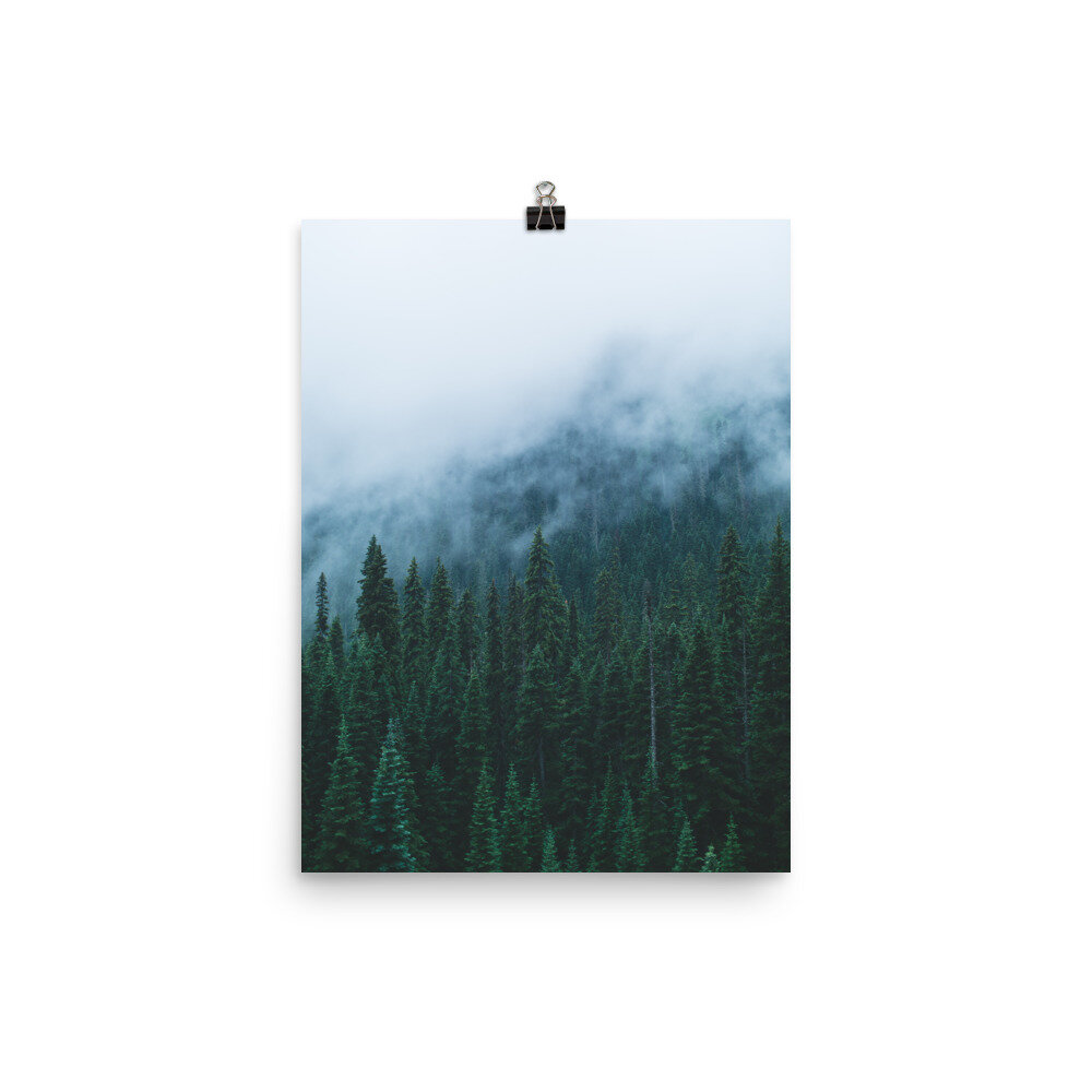 enhanced-matte-paper-poster-(in)-12x16-5fec1785a2019.jpg