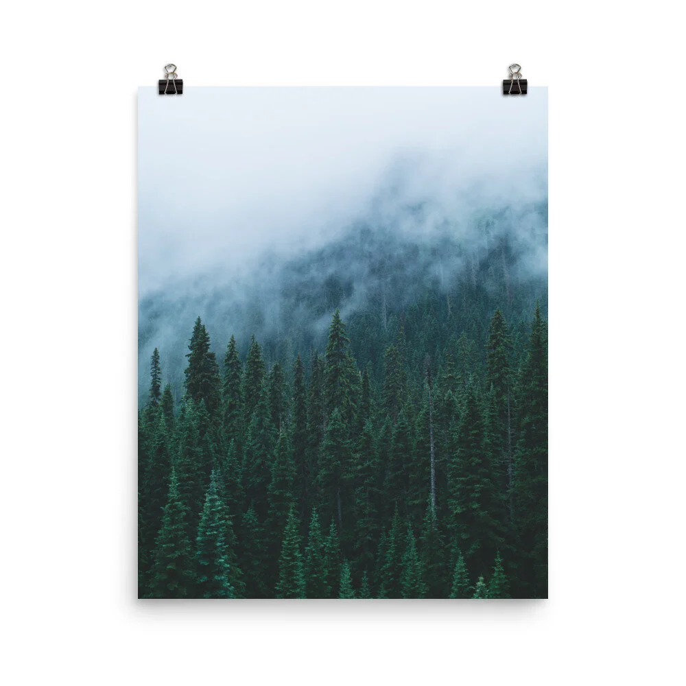 enhanced-matte-paper-poster-(in)-16x20-5fec1785a21a7.jpg