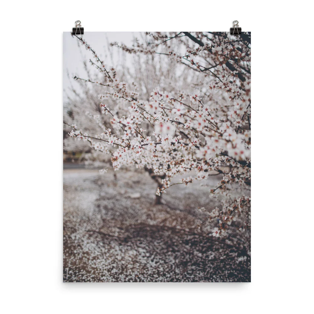 enhanced-matte-paper-poster-(in)-18x24-5fec19d7df8b5.jpg
