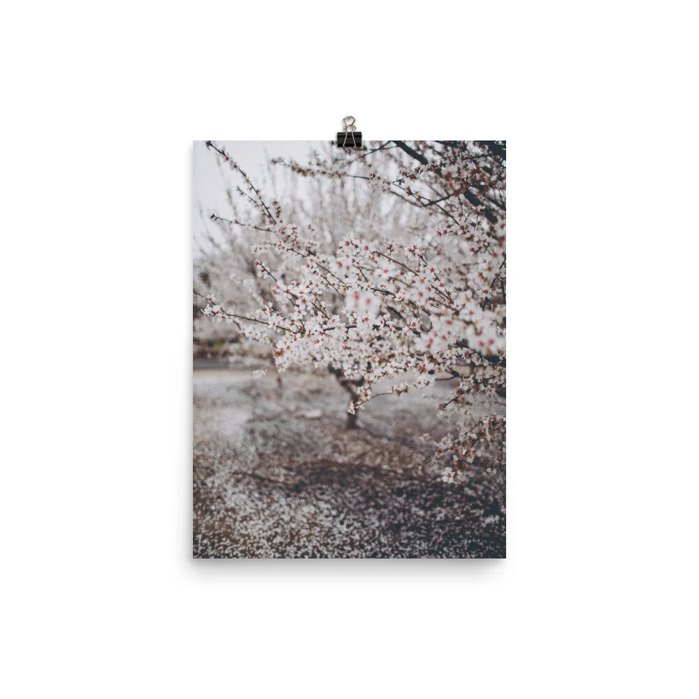 enhanced-matte-paper-poster-(in)-12x16-5fec19d7dfbad.jpg