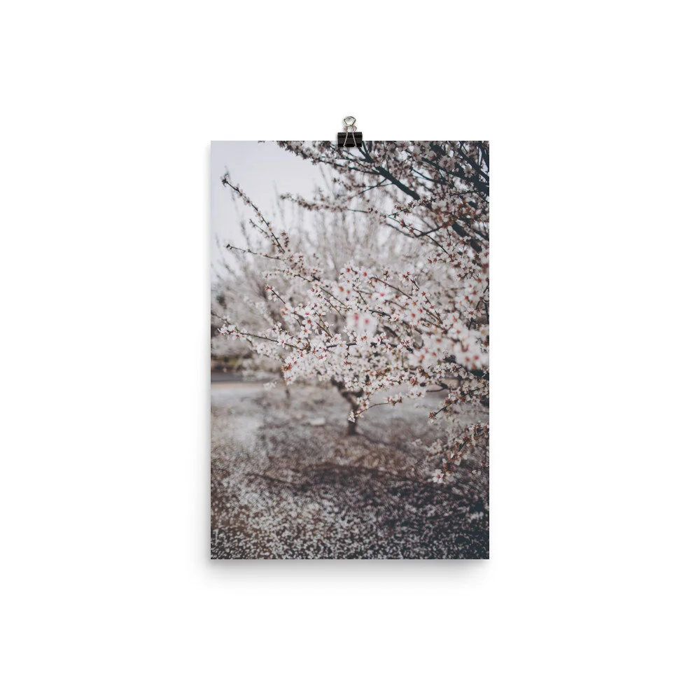 enhanced-matte-paper-poster-(in)-12x18-5fec19d7dfc0b.jpg