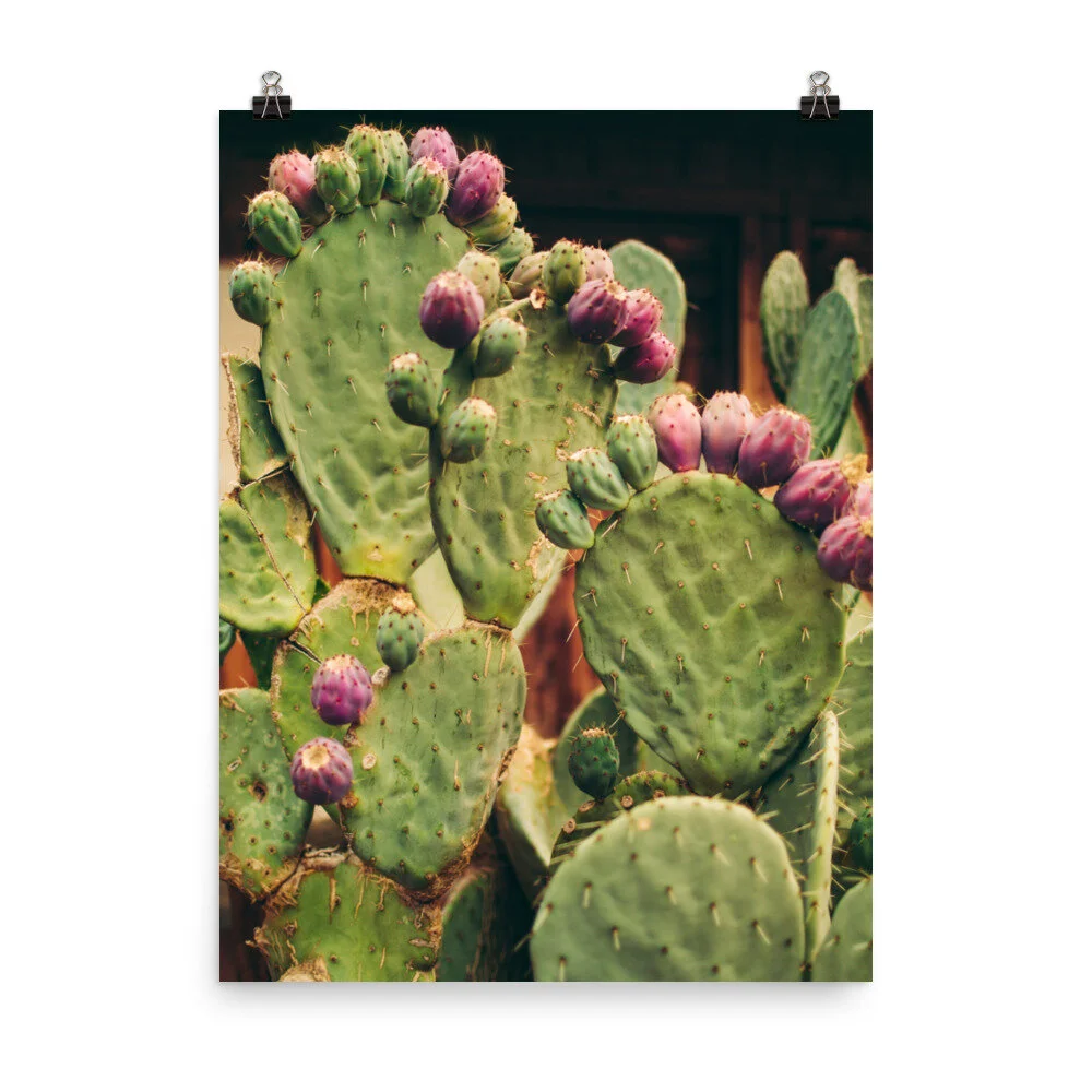 enhanced-matte-paper-poster-(in)-18x24-5fec1b49b9e80.jpg