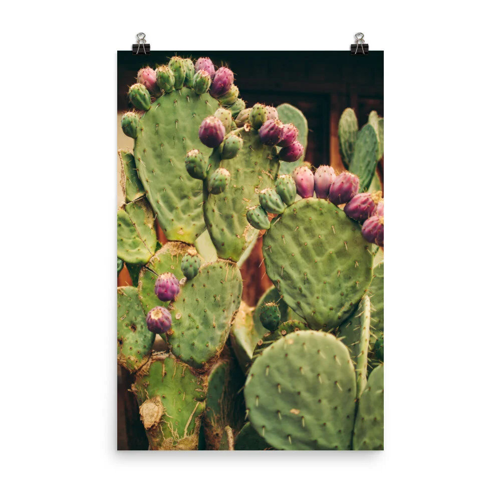 enhanced-matte-paper-poster-(in)-24x36-5fec1b49ba228.jpg
