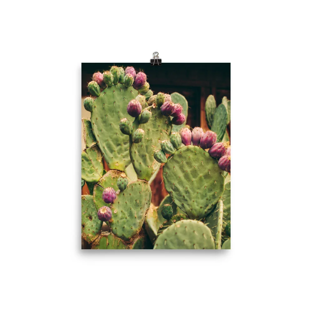 enhanced-matte-paper-poster-(in)-8x10-5fec1b49ba285.jpg