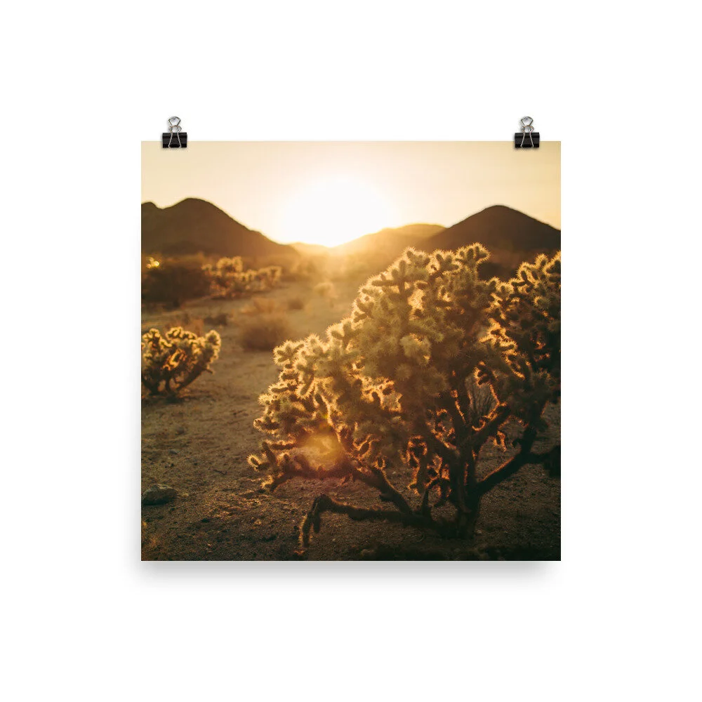 enhanced-matte-paper-poster-(in)-16x16-5fec1c0e54abc.jpg