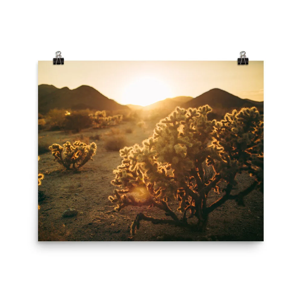 enhanced-matte-paper-poster-(in)-16x20-5fec1c0e54afe.jpg