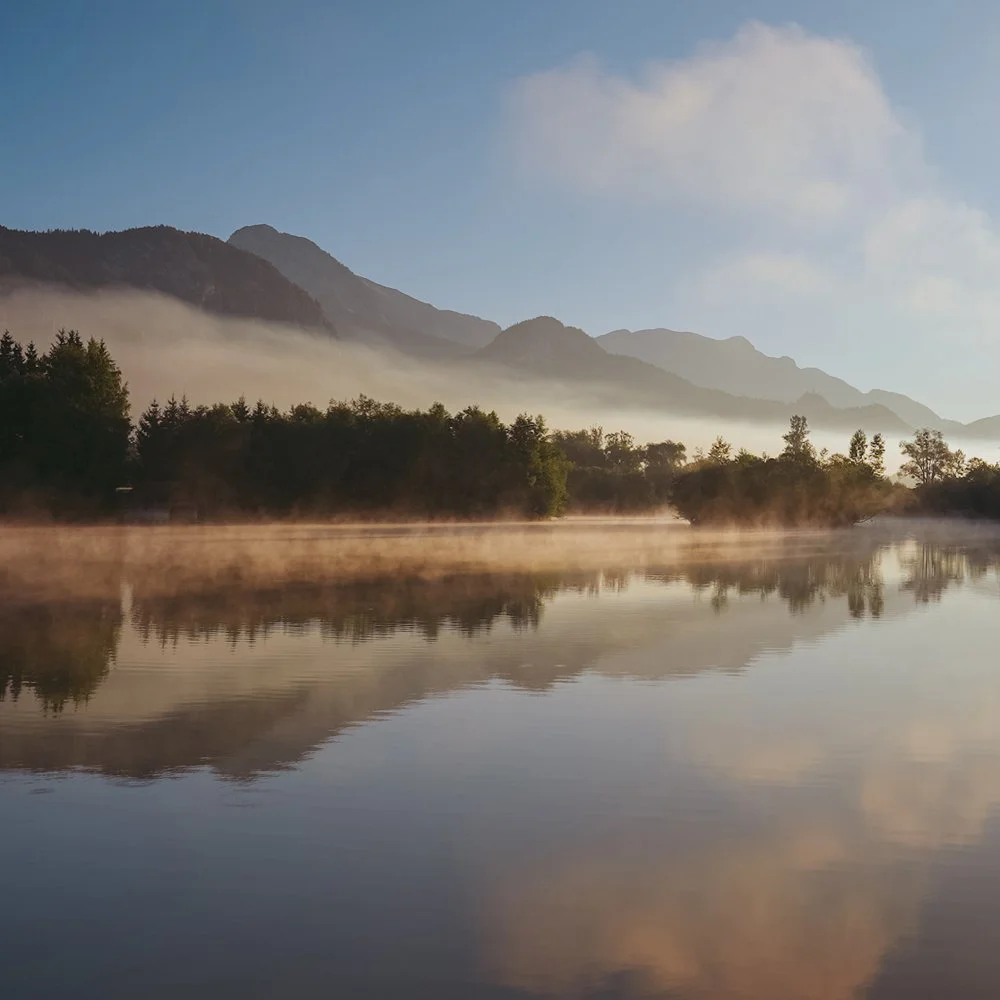 natural-video-luts.jpg